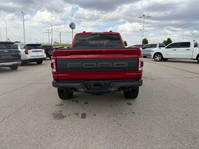 2023 Ford F-150 Raptor 4WD SuperCrew 5.5' Box